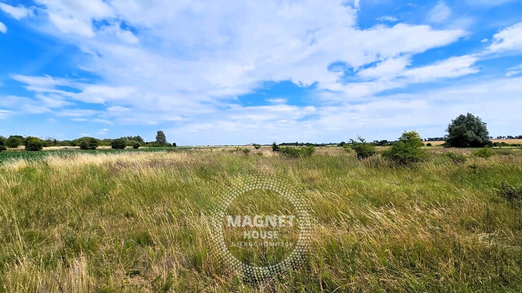 Działki z wydanymi WZ 3km od Pyrzyc (Rzepnowo) (15)