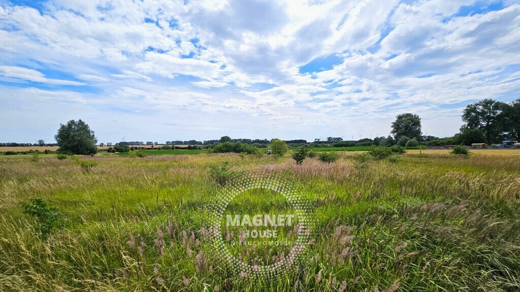 Działki z wydanymi WZ 3km od Pyrzyc (Rzepnowo) (16)