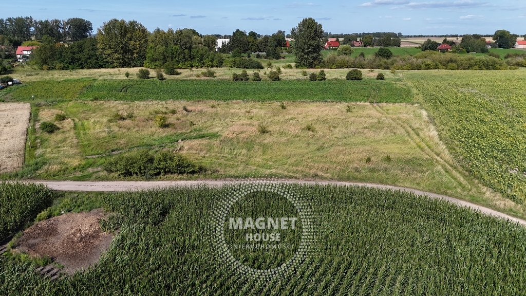 Działki z wydanymi WZ 3km od Pyrzyc (Rzepnowo) (5)
