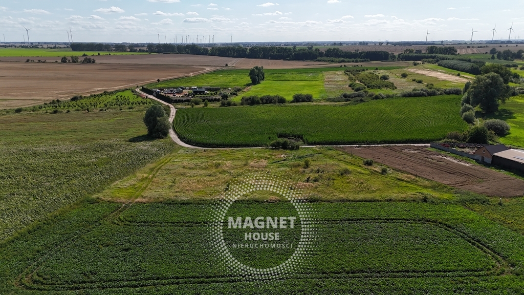 Działki z wydanymi WZ 3km od Pyrzyc (Rzepnowo) (9)