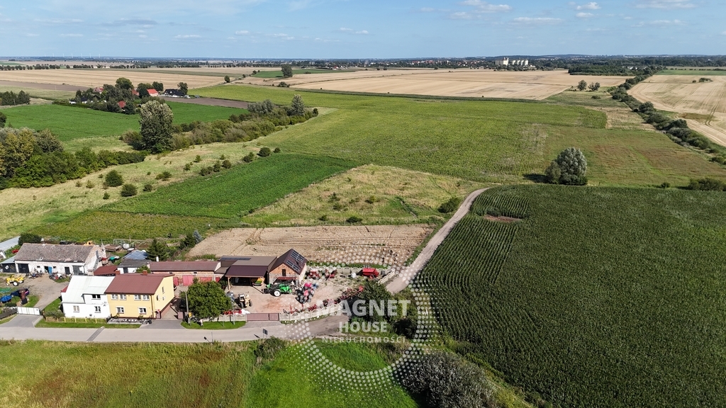 Działki z wydanymi WZ 3km od Pyrzyc (Rzepnowo) (11)