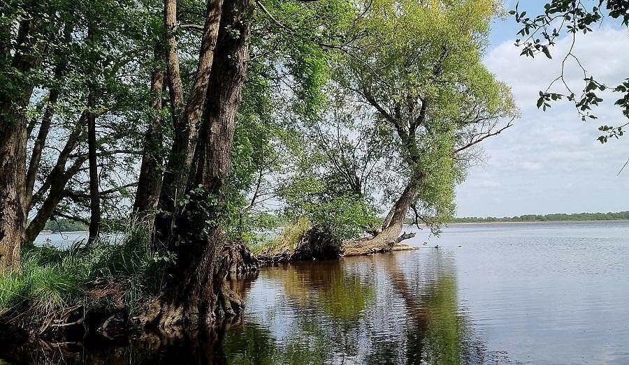 Na sprzedż urokliwa działka 120 m od jeziora (1)