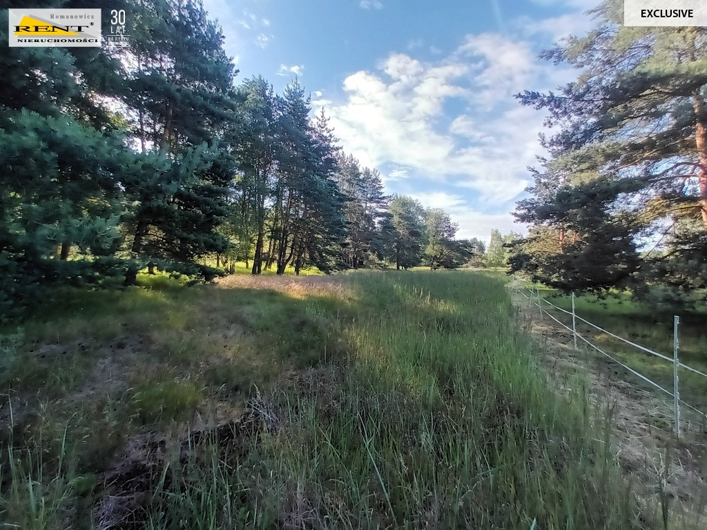 Działka budowlana przy lesie, MPZP, Wielgowo (5)