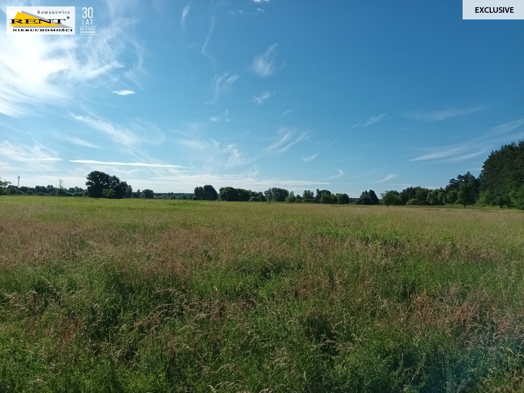 Działka z potencjałem w Wielgowie (7)