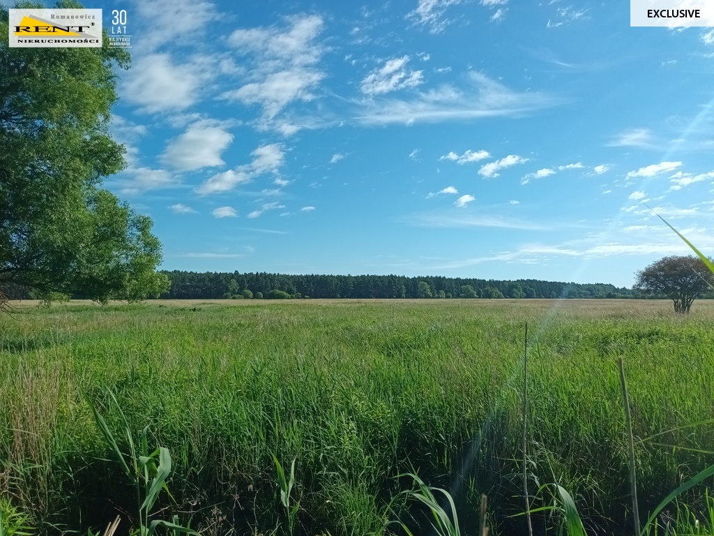 Działka z potencjałem w Wielgowie (8)