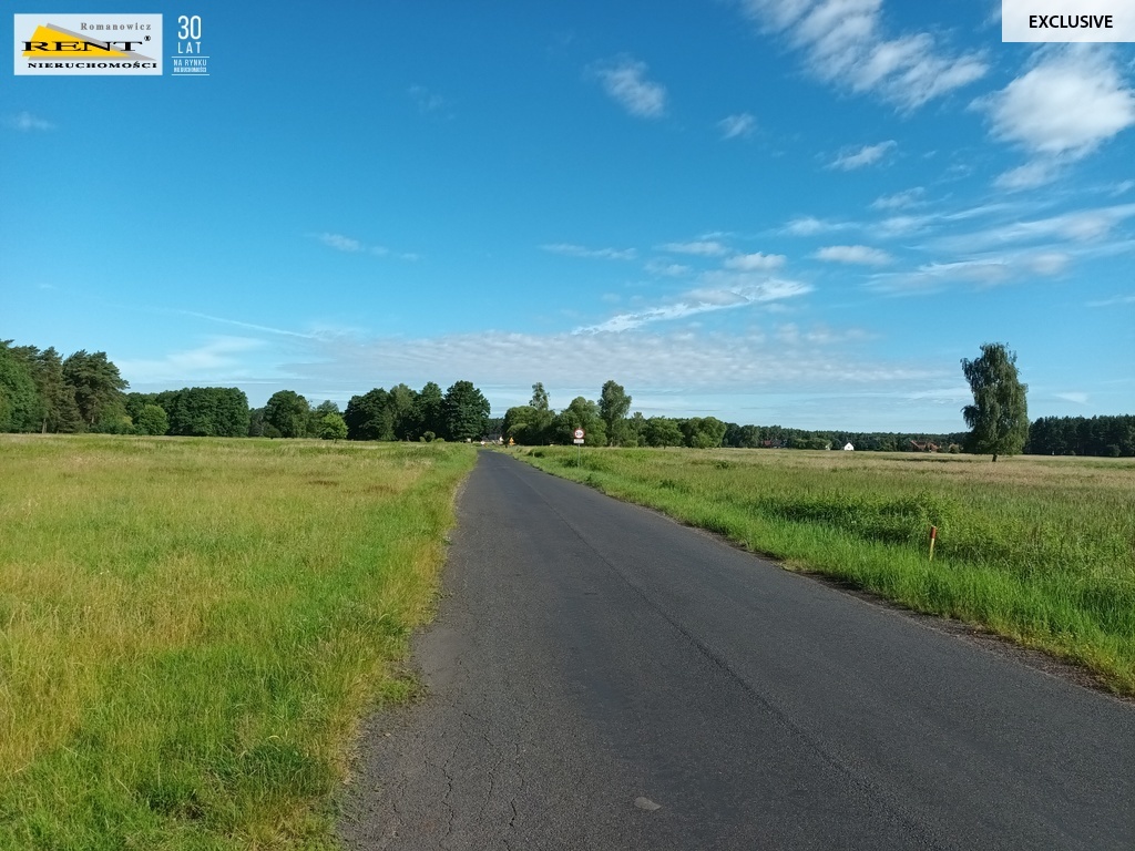 Działka z potencjałem w Wielgowie (1)