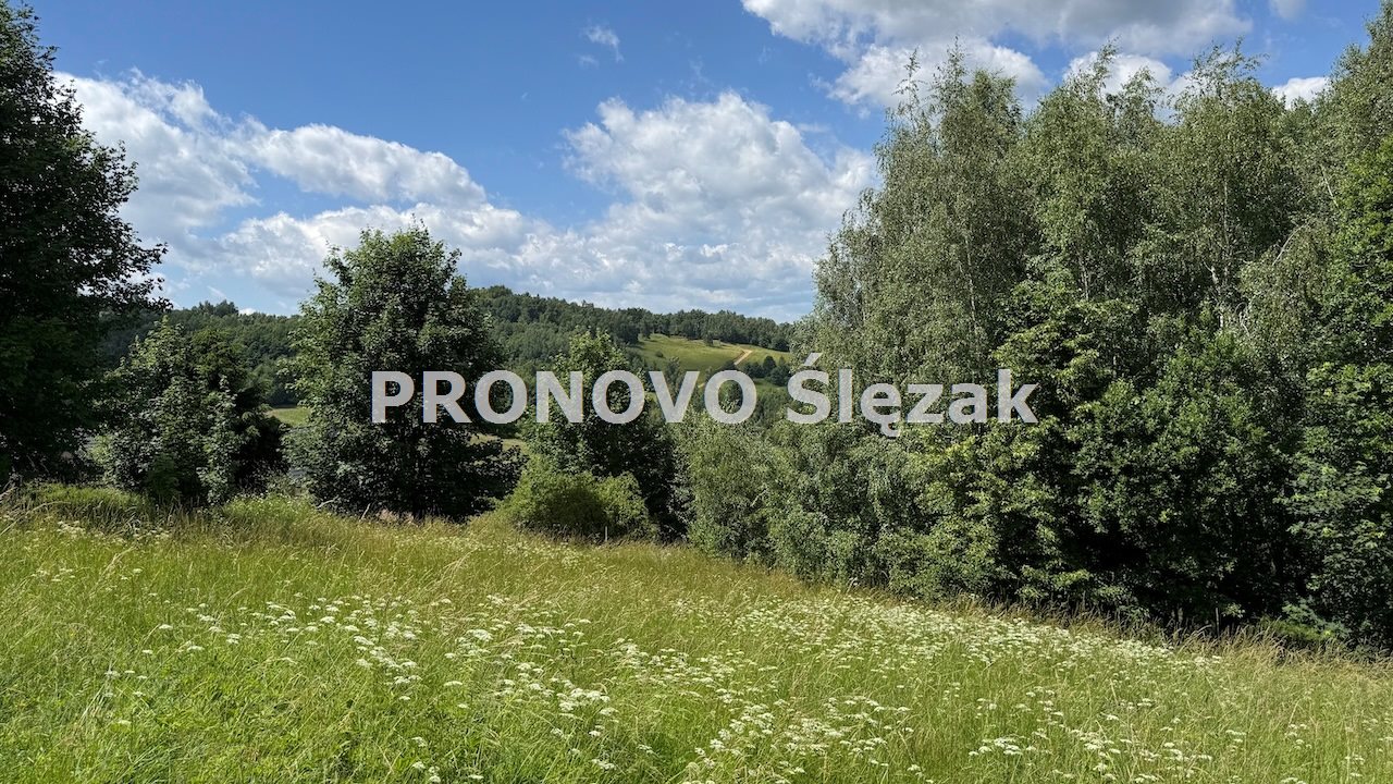 Sprzedam działkę inwestycyjną w Michałkowej (10)