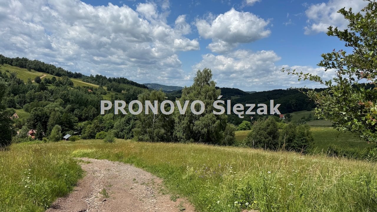 Sprzedam działkę inwestycyjną w Michałkowej (11)