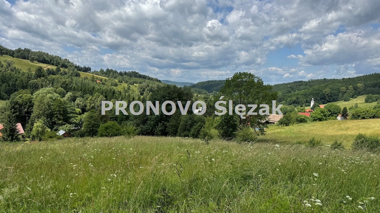 Sprzedam działkę inwestycyjną w Michałkowej (2)