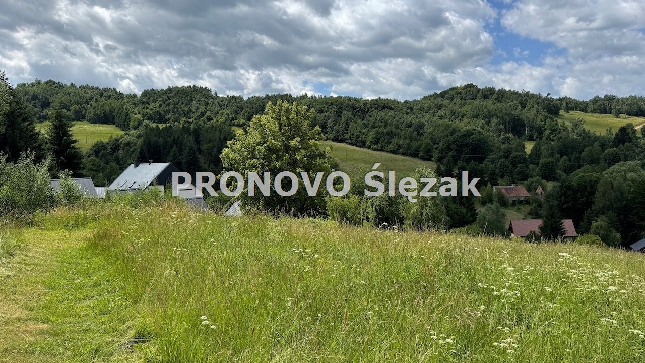 Sprzedam działkę inwestycyjną w Michałkowej (6)