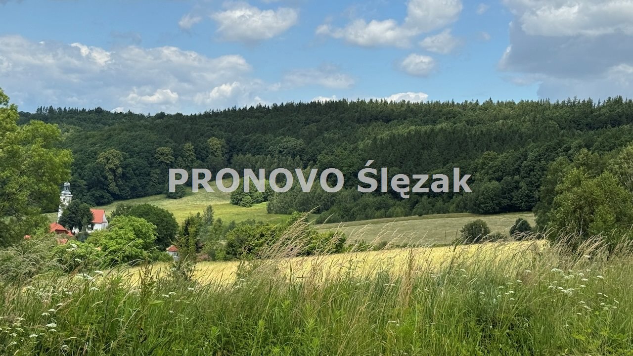 Sprzedam działkę inwestycyjną w Michałkowej (9)