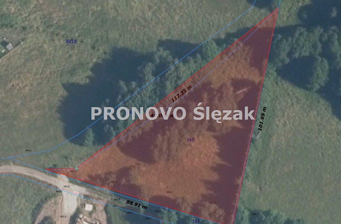 Sprzedam działkę 30 arów Michałkowa (10)