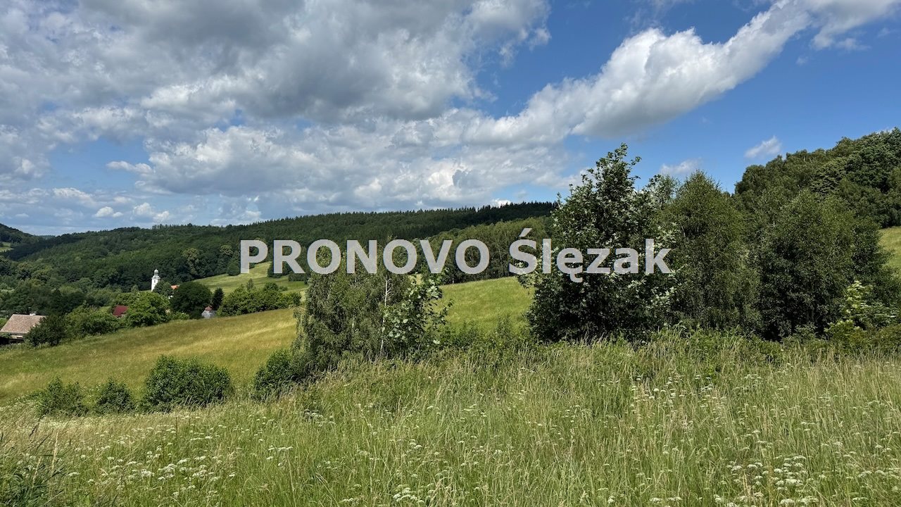 Sprzedam działkę 30 arów Michałkowa (2)