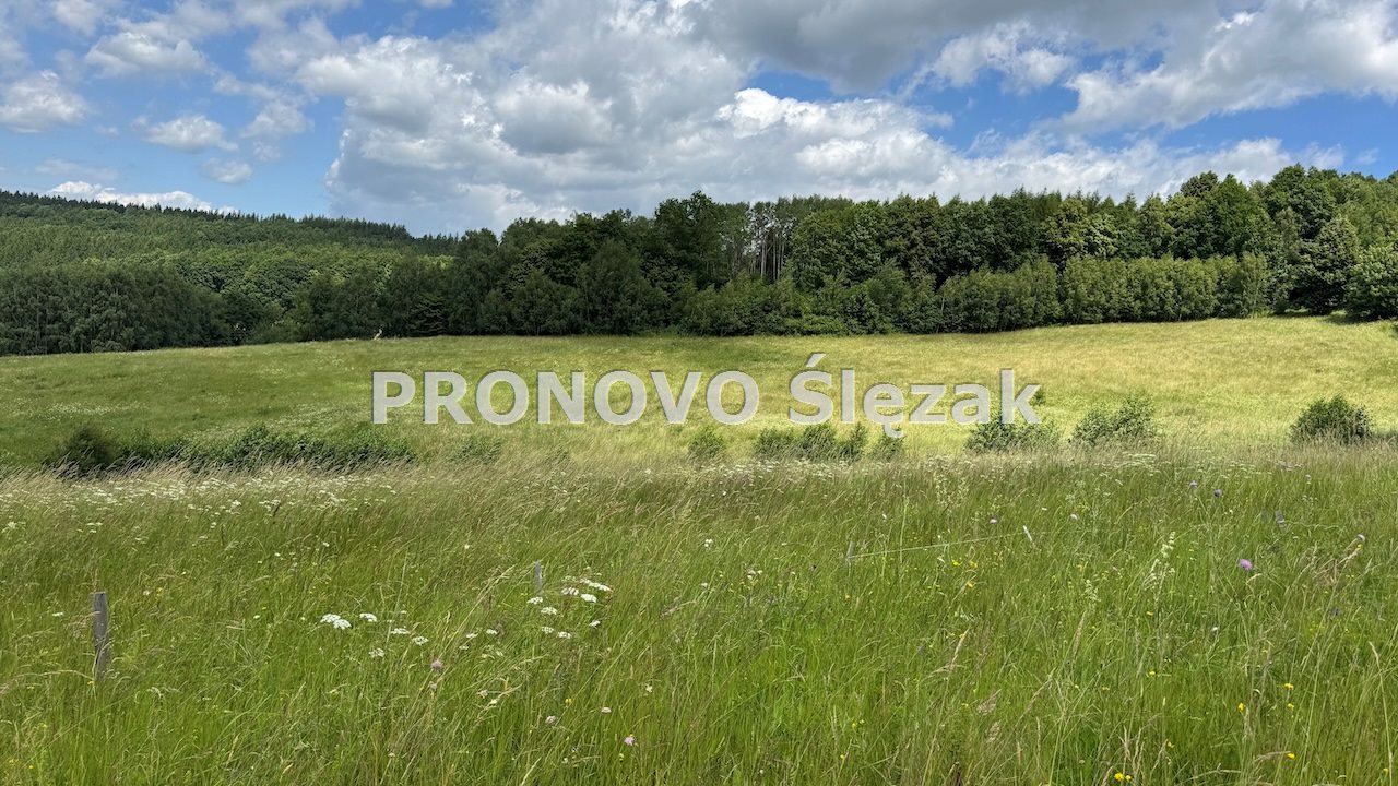 Sprzedam działkę 30 arów Michałkowa (5)