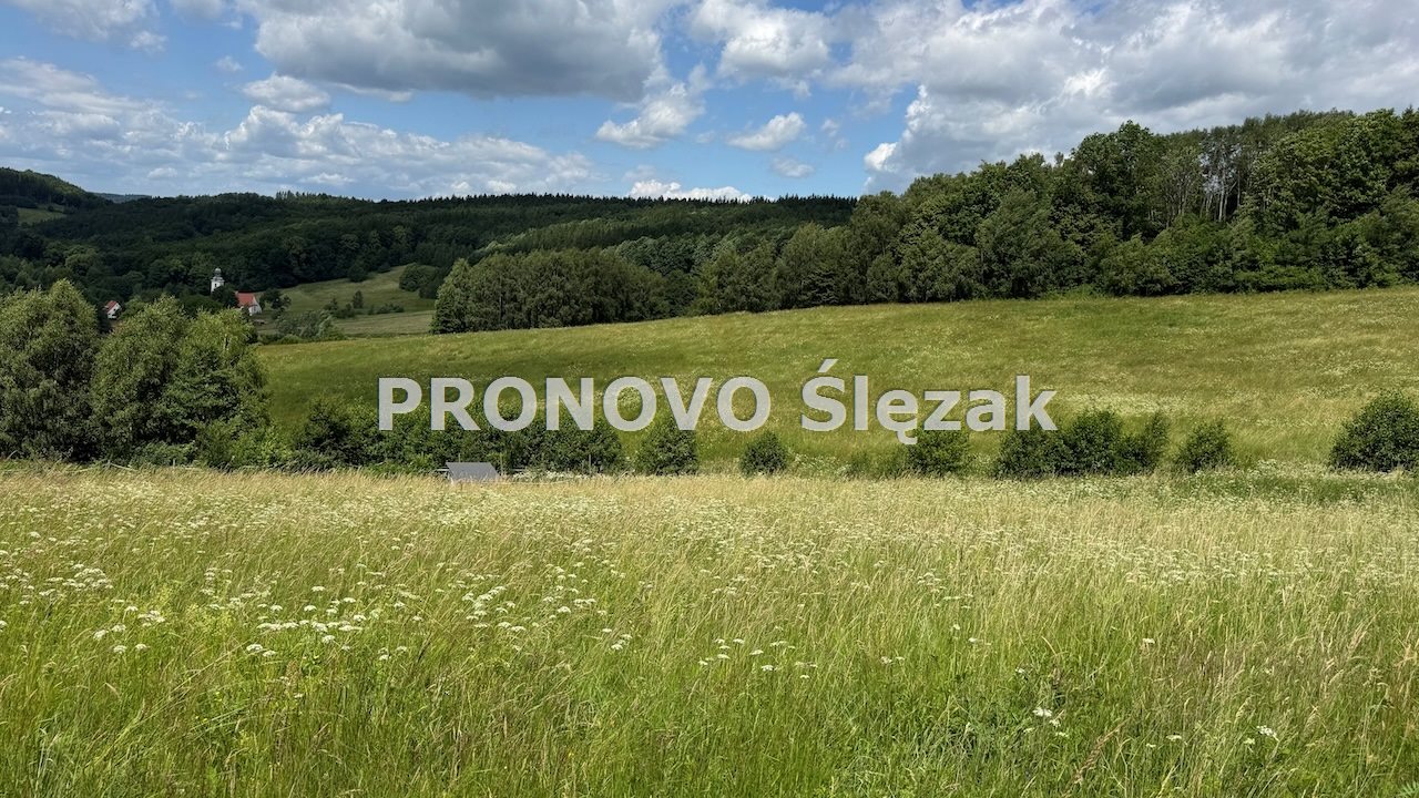 Sprzedam działkę 30 arów Michałkowa (6)