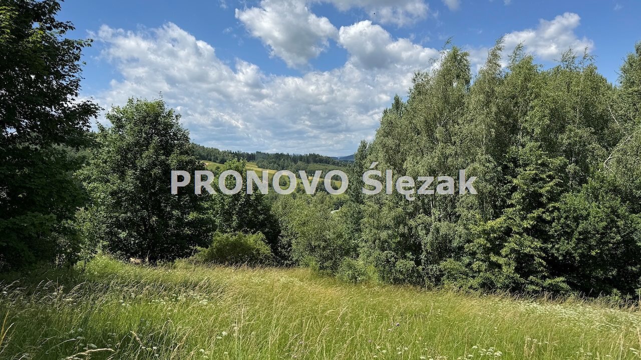 Sprzedam działkę 30 arów Michałkowa (7)