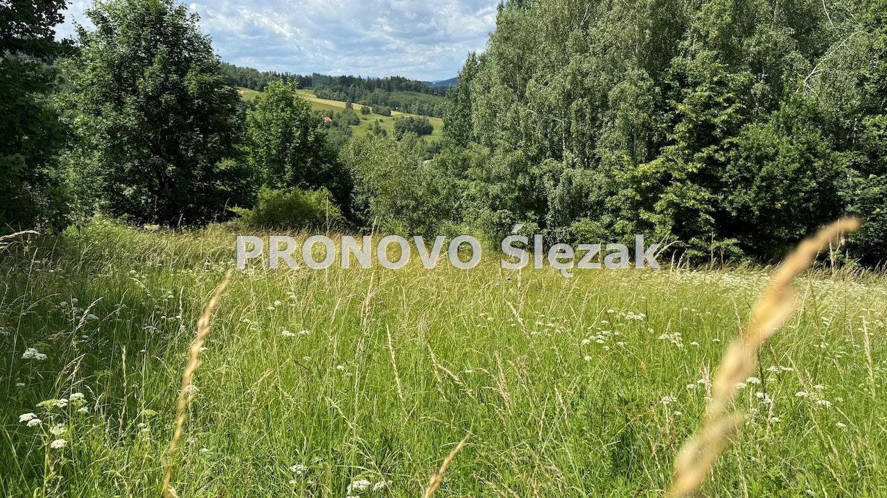 Sprzedam działkę 30 arów Michałkowa (8)