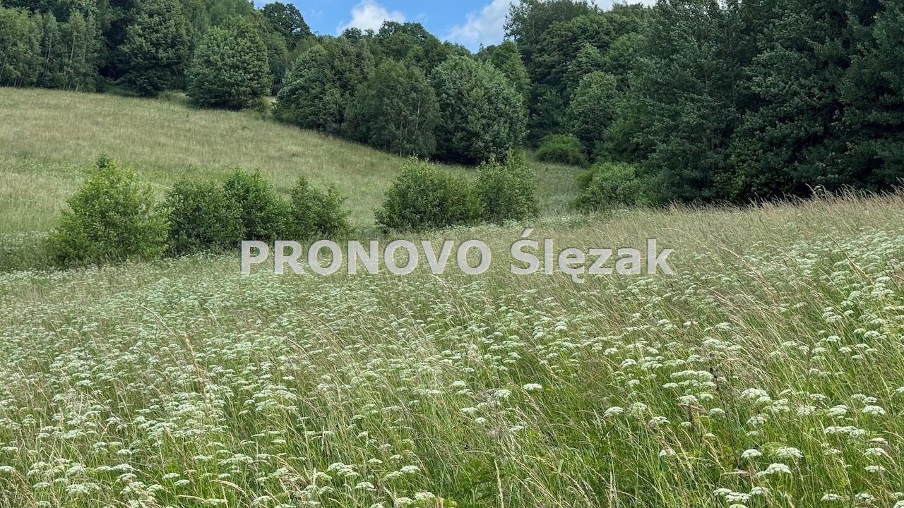 Sprzedam działkę w Michałkowej 1776 (2)