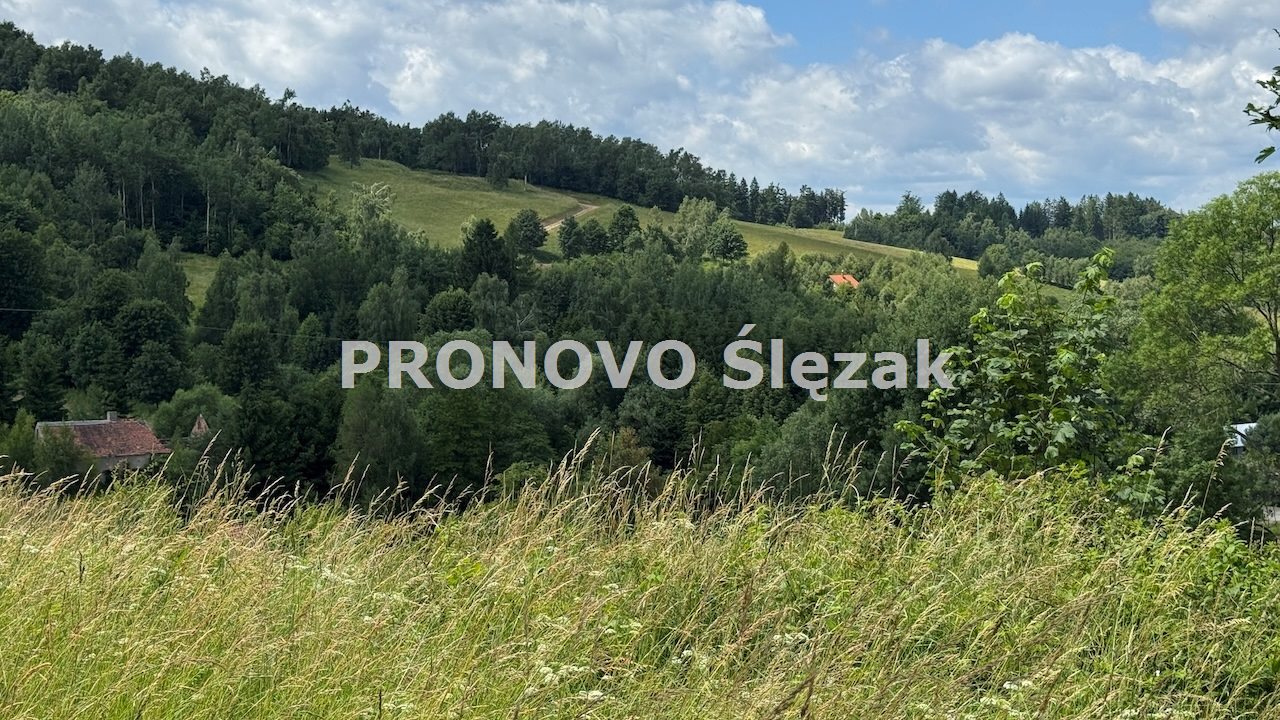 Sprzedam działkę w Michałkowej 1776 (4)