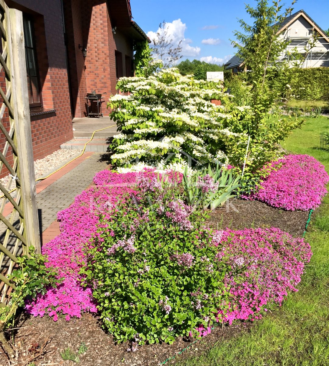 REZYDENCJA KIJEWKO, 2006r. 299,2m2, działka 1988m2 (24)