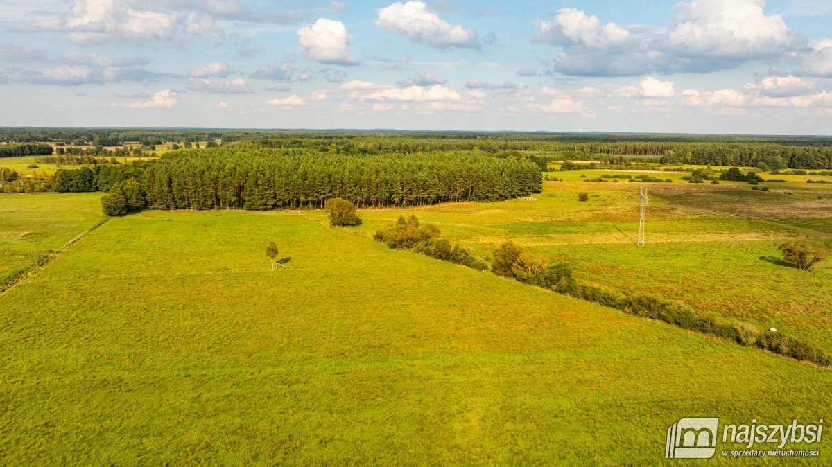 Przybiernów-ziemia rolna 7,79 ha (10)