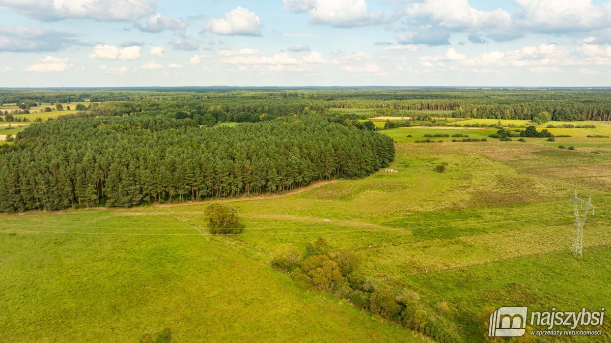 Przybiernów-ziemia rolna 7,79 ha (2)