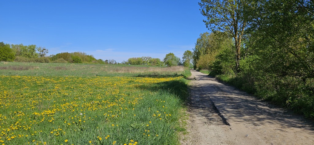 TWOJE MIEJSCE NA ZIEMI – DZIAŁKA W SKOLWINIE! (2)
