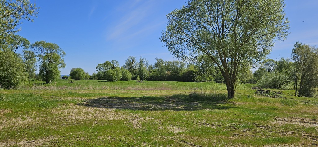 TWOJE MIEJSCE NA ZIEMI – DZIAŁKA W SKOLWINIE! (1)