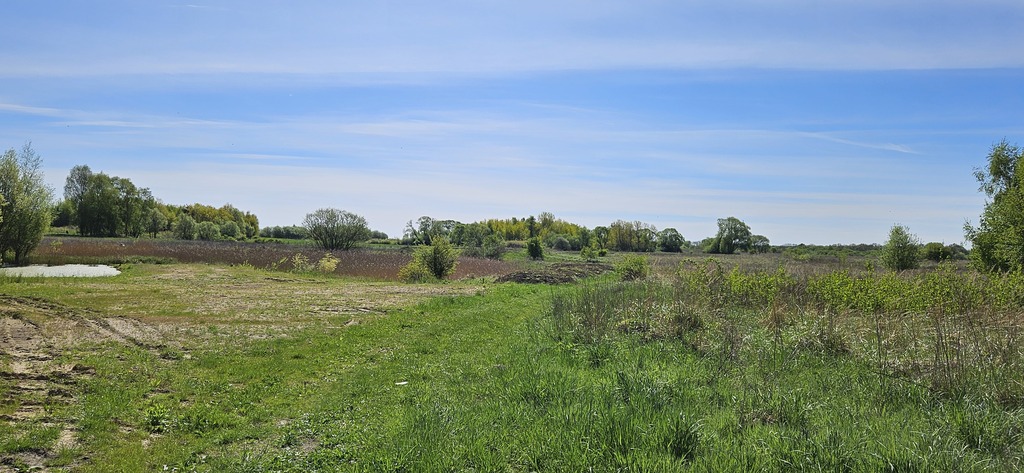 TWOJE MIEJSCE NA ZIEMI – DZIAŁKA W SKOLWINIE! (4)