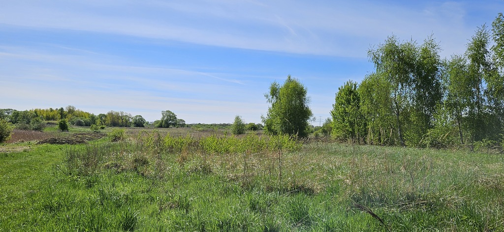 TWOJE MIEJSCE NA ZIEMI – DZIAŁKA W SKOLWINIE! (5)