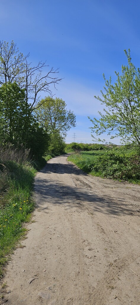 TWOJE MIEJSCE NA ZIEMI – DZIAŁKA W SKOLWINIE! (3)