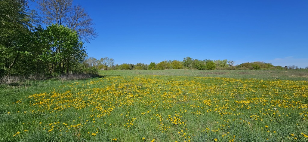 SKOLWIN SIĘ ROZWIJA – NIE PRZEGAP TEJ OKAZJI! (2)