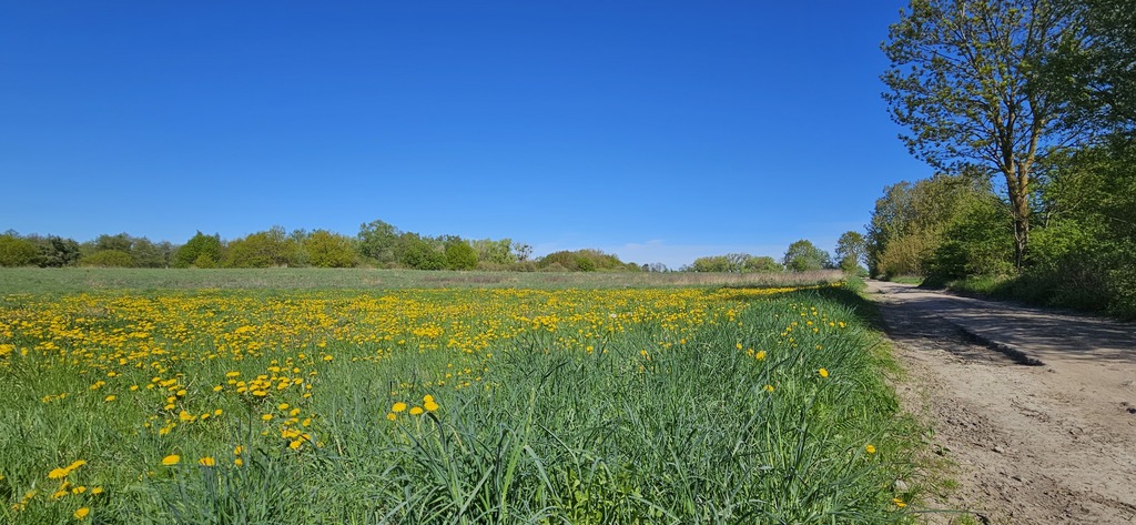 SKOLWIN SIĘ ROZWIJA – NIE PRZEGAP TEJ OKAZJI! (1)