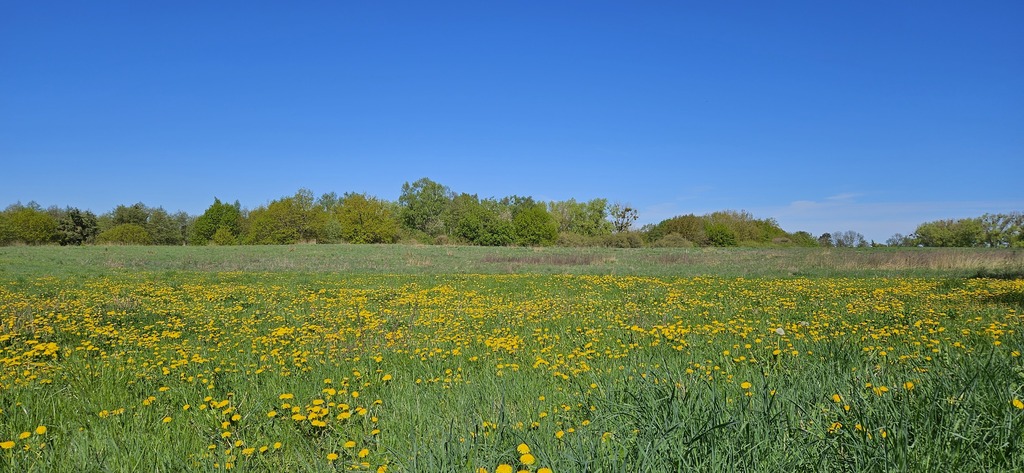 SKOLWIN SIĘ ROZWIJA – NIE PRZEGAP TEJ OKAZJI! (3)