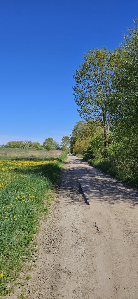 SKOLWIN SIĘ ROZWIJA – NIE PRZEGAP TEJ OKAZJI! (4)