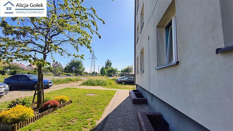 Mieszka Igo Ładne mieszkanie 2pokoje, parter, po r (14)