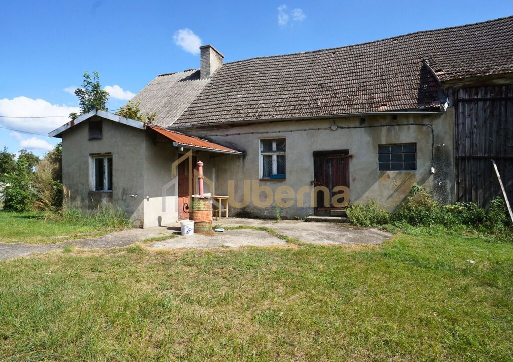 Dom do remontu z dużą działką (2)