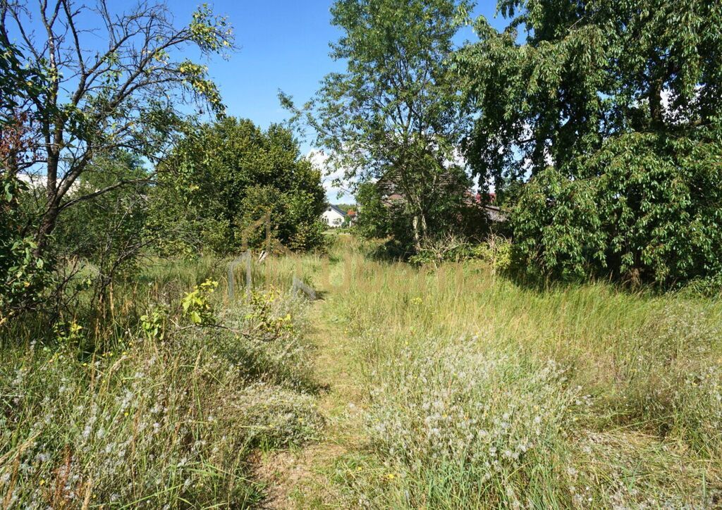 Dom do remontu z dużą działką (8)