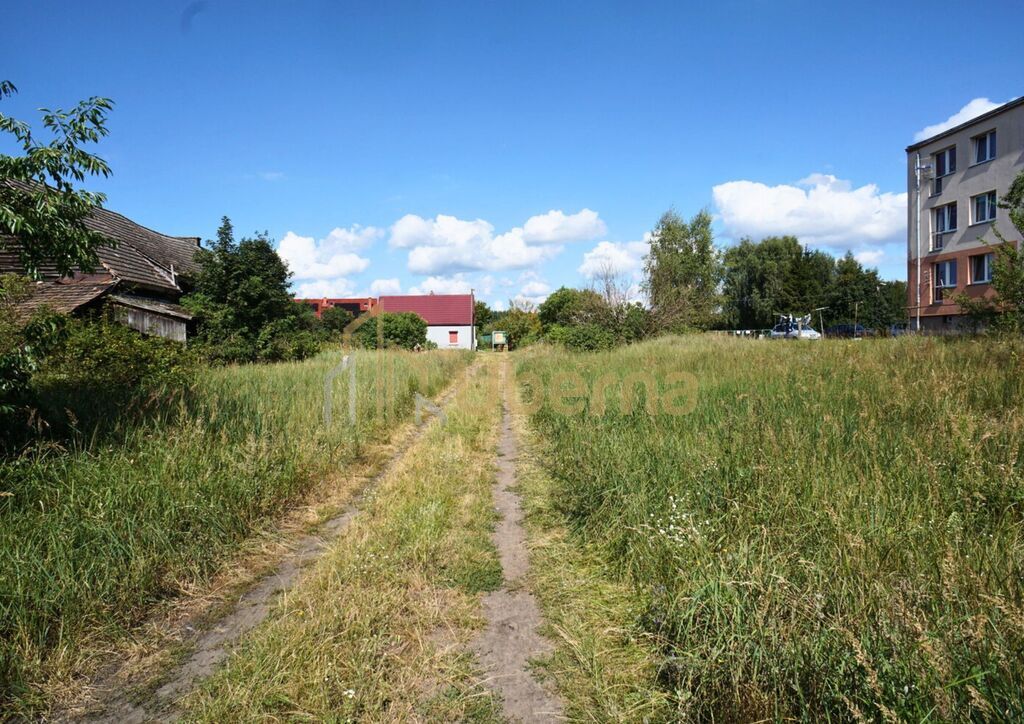 Dom do remontu z dużą działką (7)