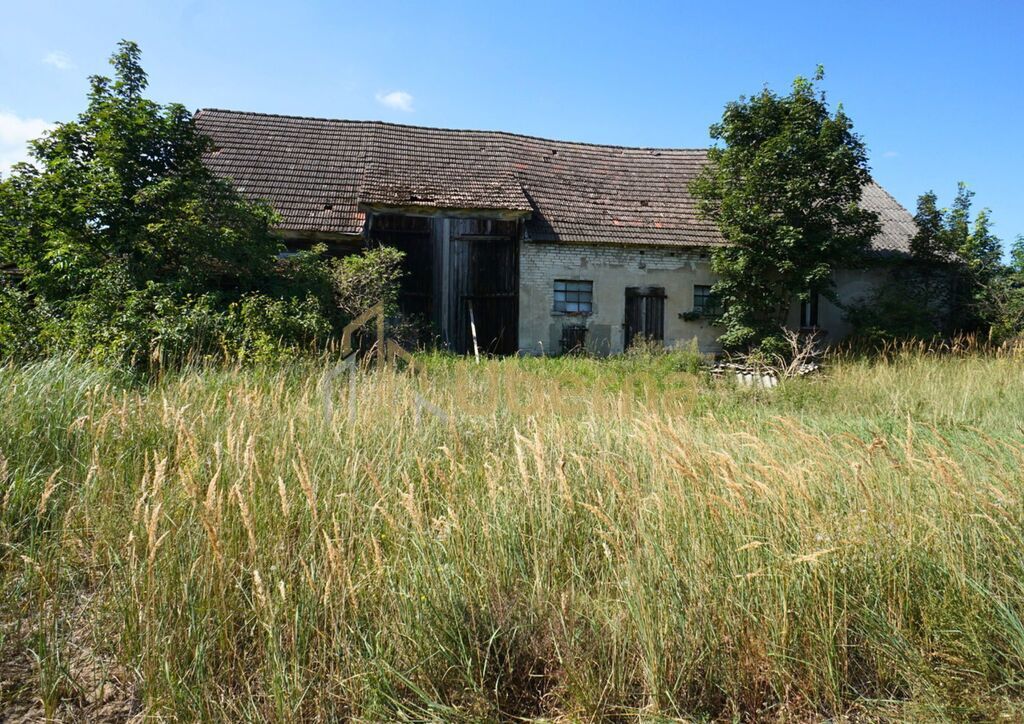 Dom do remontu z dużą działką (5)