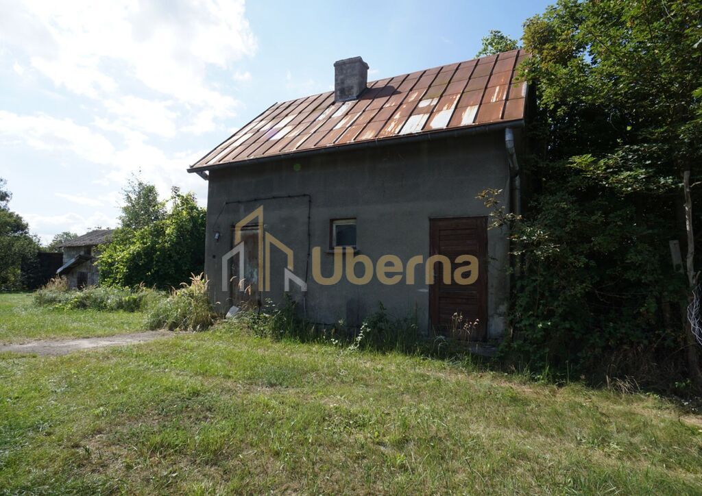 Dom do remontu z dużą działką (6)