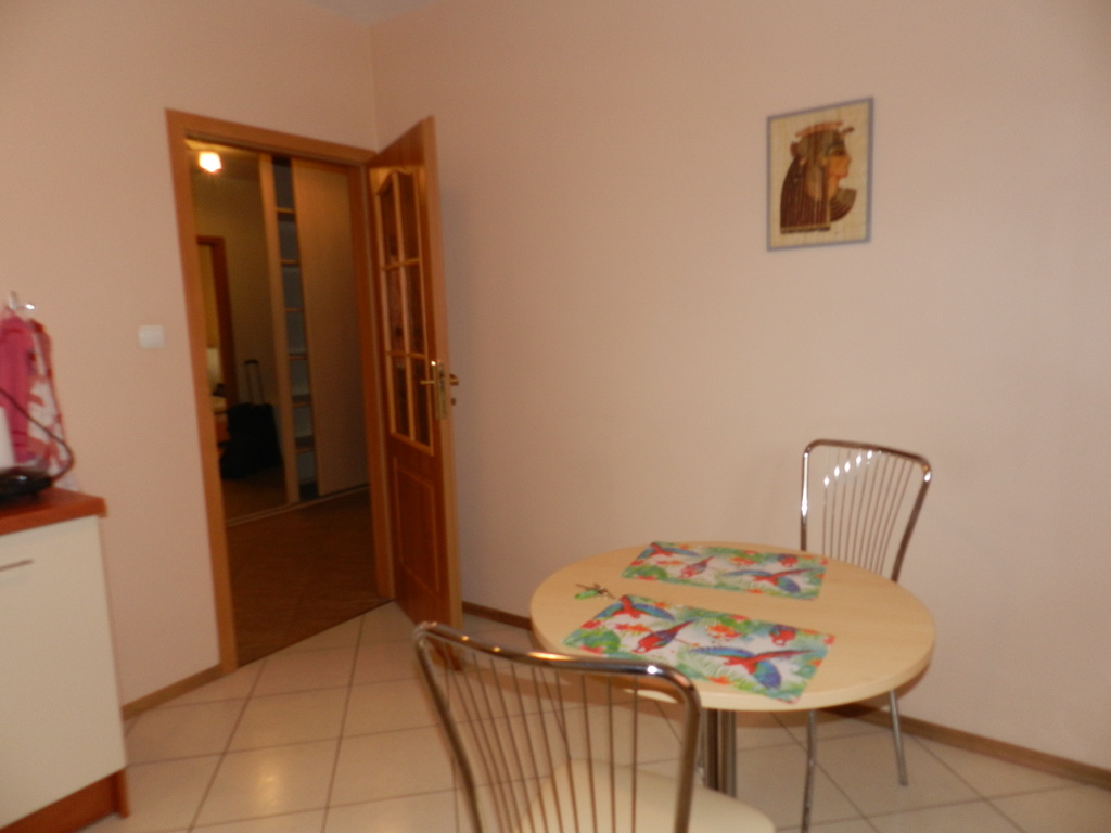 Mieszkanie, 1 pok., 45 m2, Szczecin Centrum (2)