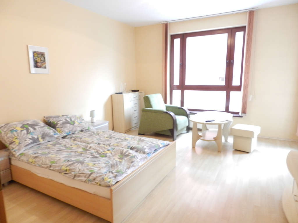 Mieszkanie, 1 pok., 45 m2, Szczecin Centrum (3)