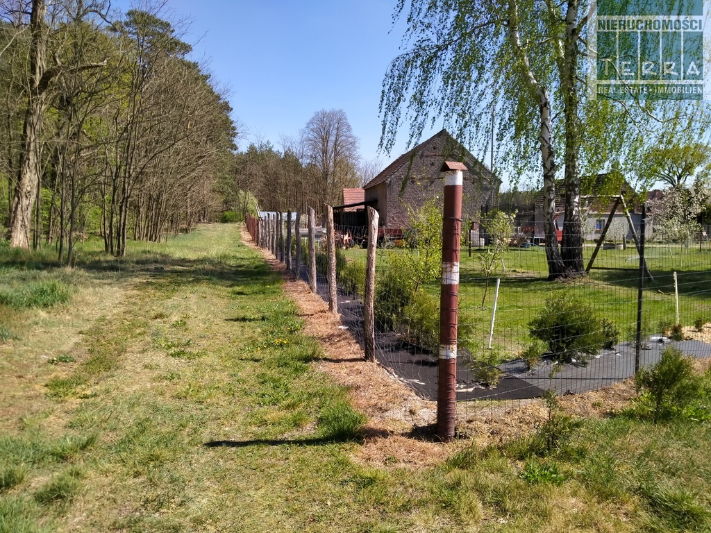 DZIAŁKA BUDOWLANA PRZY LASIE z warunkami zabudowy (10)