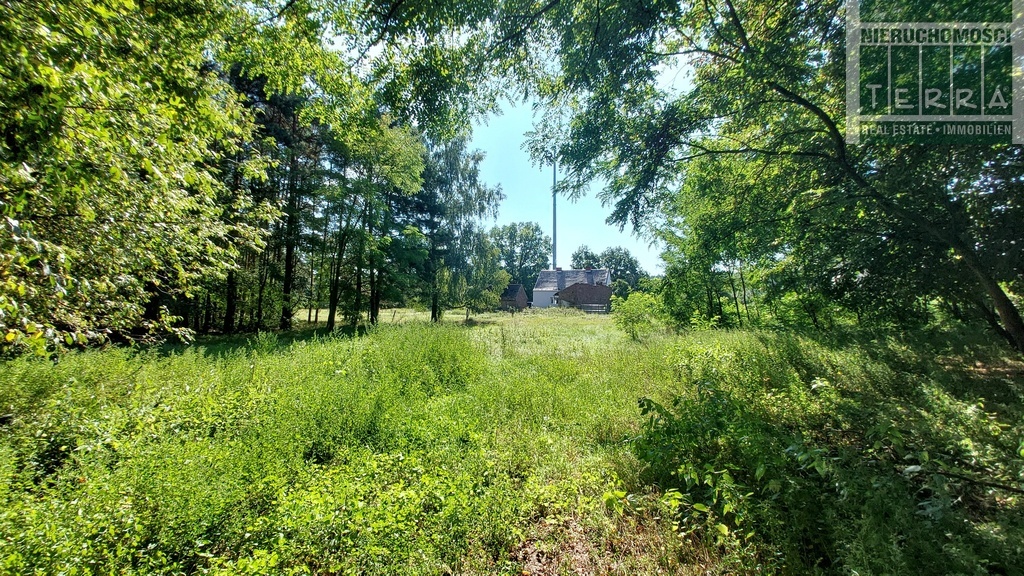 DZIAŁKA BUDOWLANA PRZY LASIE z warunkami zabudowy (11)