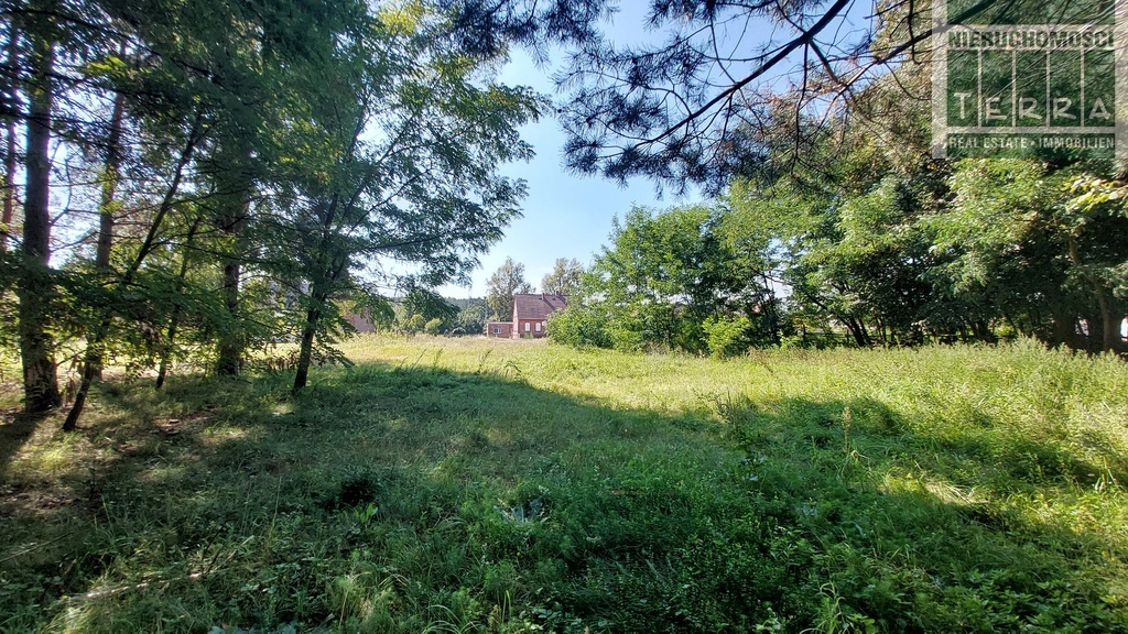 DZIAŁKA BUDOWLANA PRZY LASIE z warunkami zabudowy (4)