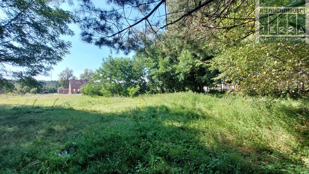 DZIAŁKA BUDOWLANA PRZY LASIE z warunkami zabudowy (12)