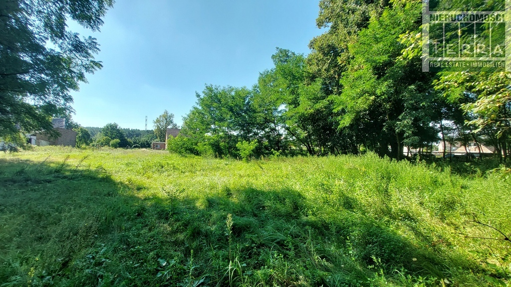 DZIAŁKA BUDOWLANA PRZY LASIE z warunkami zabudowy (5)