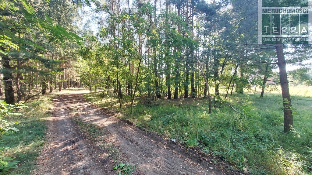 DZIAŁKA BUDOWLANA PRZY LASIE z warunkami zabudowy (6)