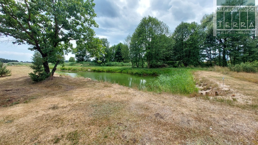 Działka ze STAWEM ! (12)